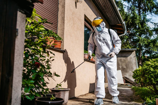 Best Best Pest Control Companies  in Nsfield Center, MA