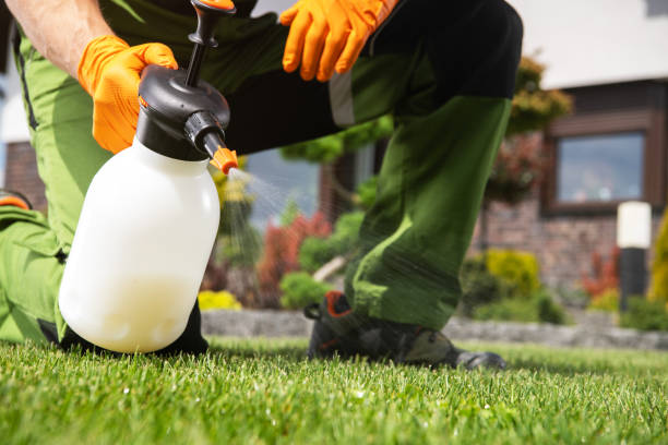Best Commercial Pest Control Services  in Nsfield Center, MA