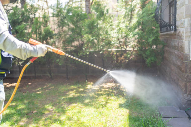 Best Wildlife Control Services  in Nsfield Center, MA