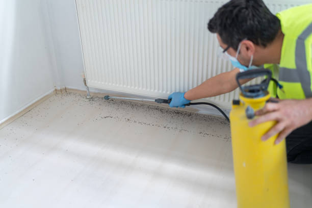 Best Pest Prevention Services  in Nsfield Center, MA