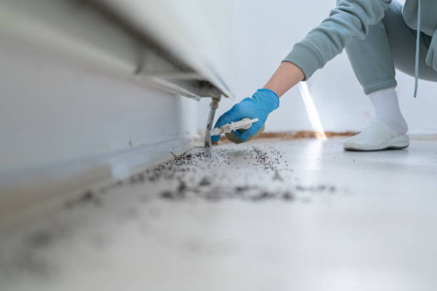 Best Best Pest Control Companies  in Nsfield Center, MA